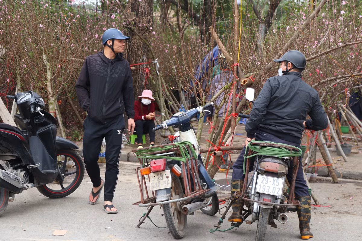 Những người chở đào, quất thuê ngồi đợi khách.