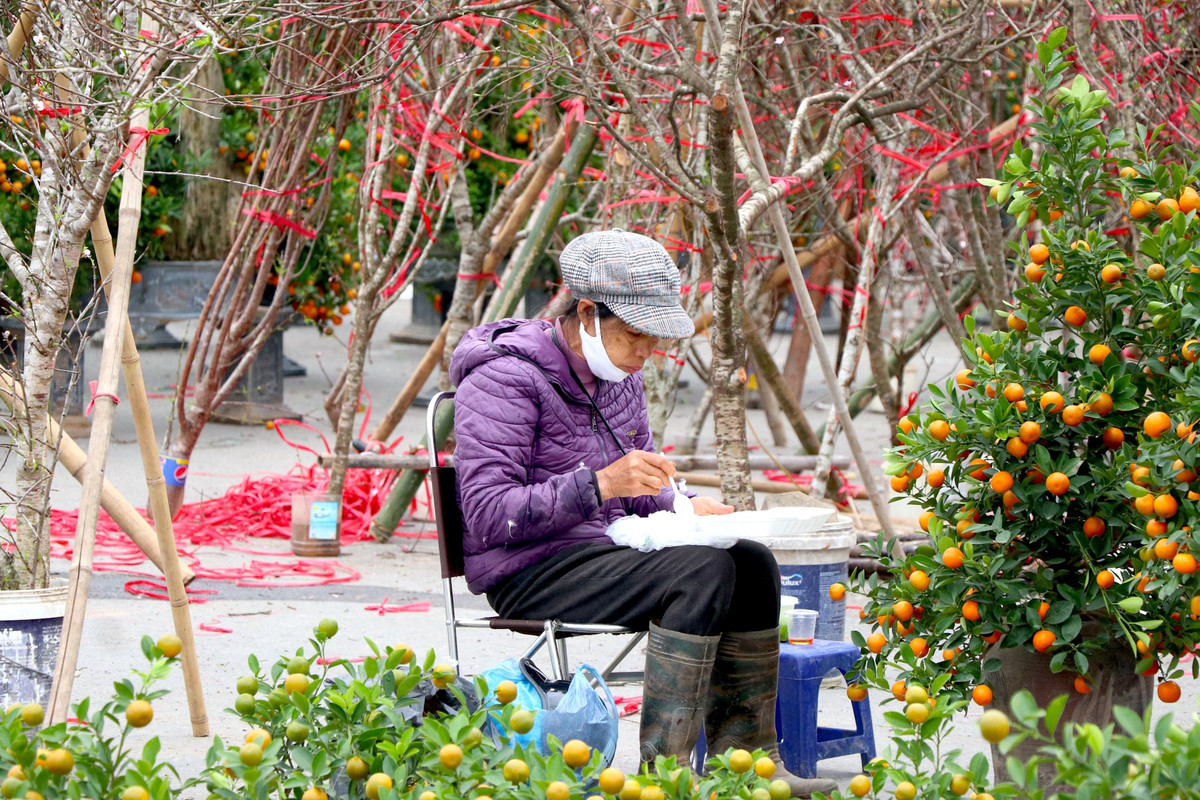 br/> Những bữa cơm trưa ăn vội vàng để bán hàng của tiểu thương bán đào, quất Tết.