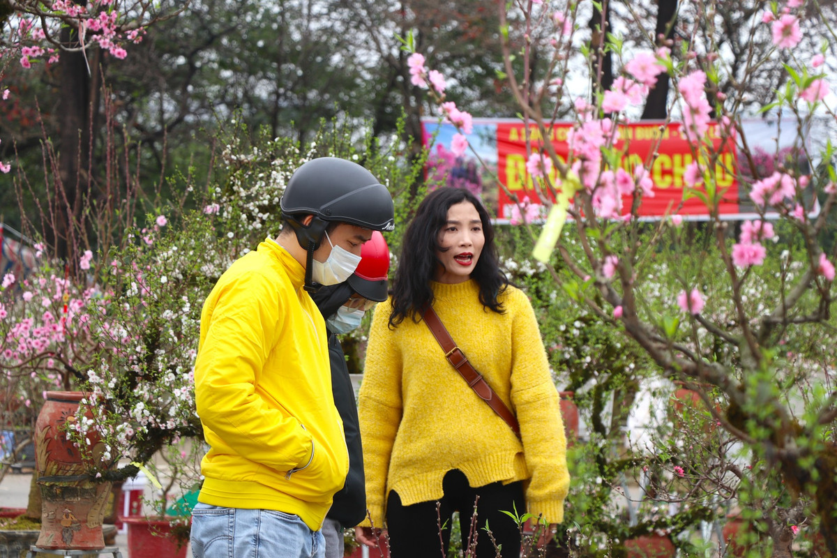 Nhiều khách mua tới từ sớm để chọn cành đào đẹp nhưng cũng khá bất ngờ khi năm nay đào quất lại "đại hạ giá" sớm như thế. Anh Hải long (Cầu Giấy, Hà Nội) chia sẻ: "Mình đang trên đường về nhà, thấy đào quất giảm giá rẻ nên ghé vào xem. Năm nay đào quất giảm nhiệt sớm, chất lượng chậu đẹp mà giá rẻ nên mình đã mua về luôn. Hi vọng sẽ nở đẹp và đúng ngày".