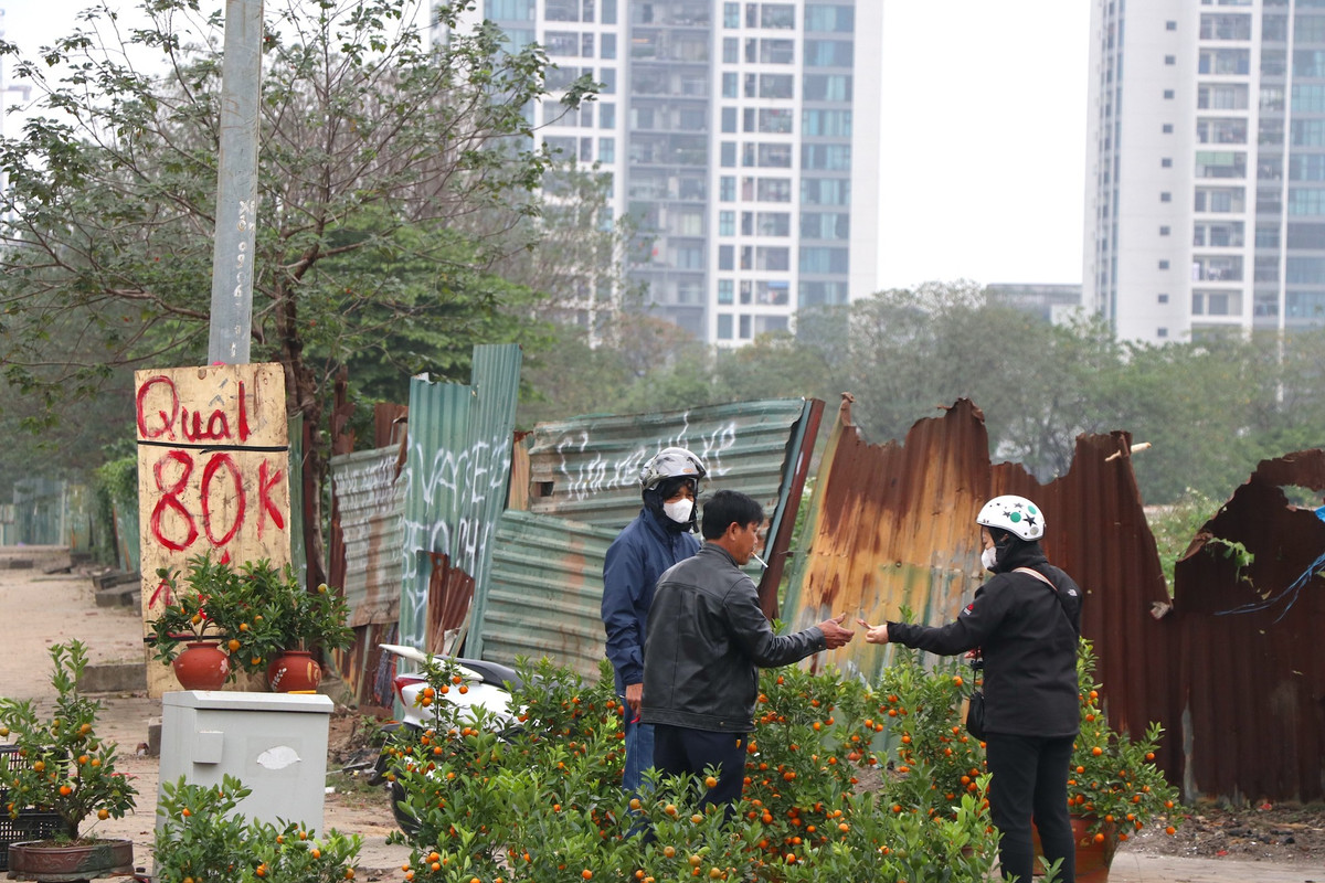 Giá bán các chậu ở mức từ 80.000 đồng đến tiền triệu một cây tùy kích thước và thế của chậu cây.