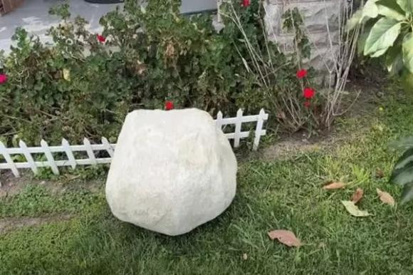 Co ngoi 16 ty dong cua Duc Tien o My hoanh trang co nao?-Hinh-6