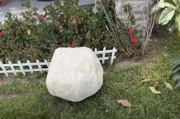 Co ngoi 16 ty dong cua Duc Tien o My hoanh trang co nao?-Hinh-6