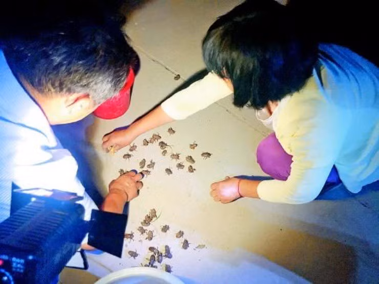 Ca lang kiem 16 ty nho nuoi loai keu dinh tai nhuc oc-Hinh-2