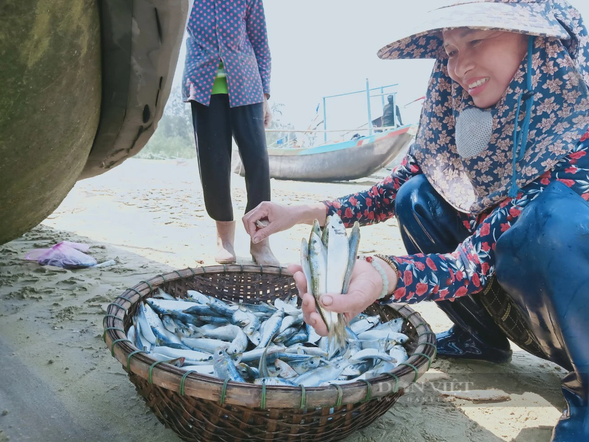 Nụ cười hạnh phúc khi ngư dân trúng đậm cá trích. Ảnh: PV