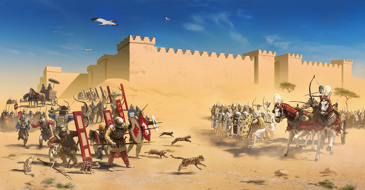 Nguoi Ai Cap tung thua tran vi ke thu co meo tren khien-Hinh-2