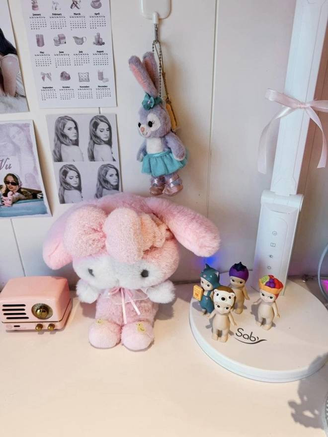 Can phong mau hong sieu ngan nap cua con gai MC Diep Chi-Hinh-12