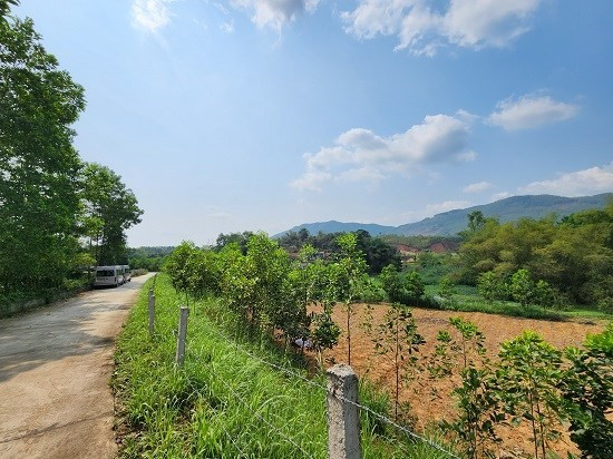 Nen mua dat nen hay gui tiet kiem neu co 1 ty dong luc nay?