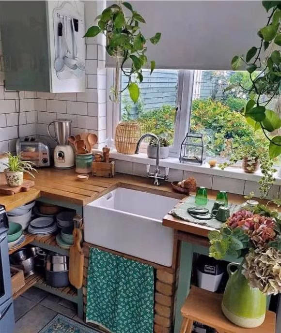 Trong nhieu hoa o 3 noi nay trong nha cang toi te-Hinh-2