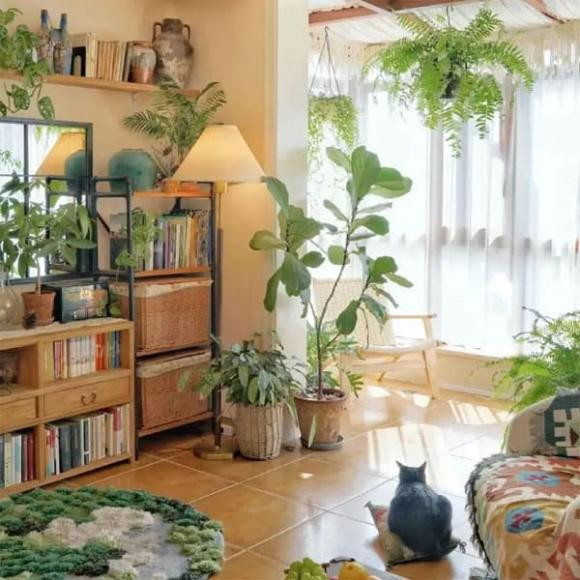 Trong nhieu hoa o 3 noi nay trong nha cang toi te-Hinh-7