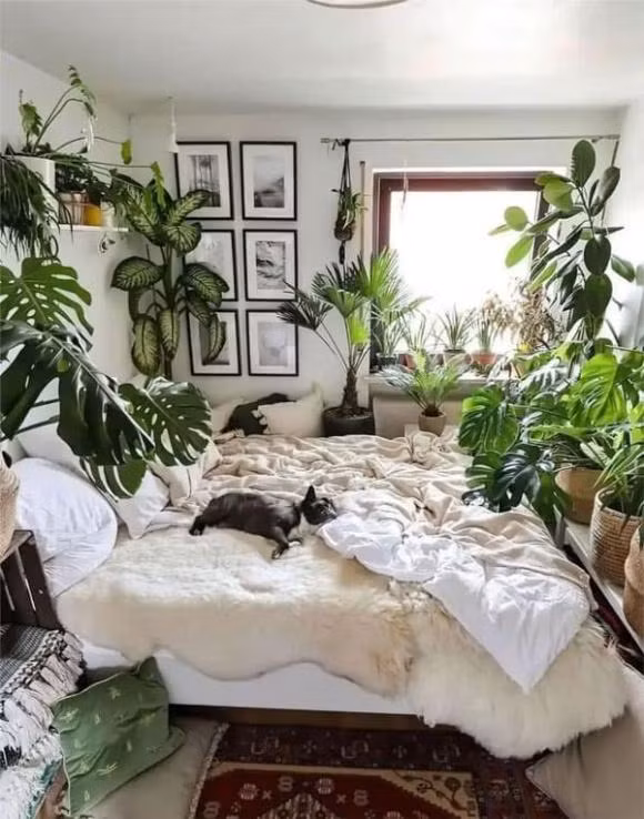 Trong nhieu hoa o 3 noi nay trong nha cang toi te-Hinh-3