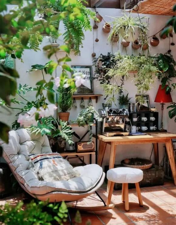 Trong nhieu hoa o 3 noi nay trong nha cang toi te-Hinh-9