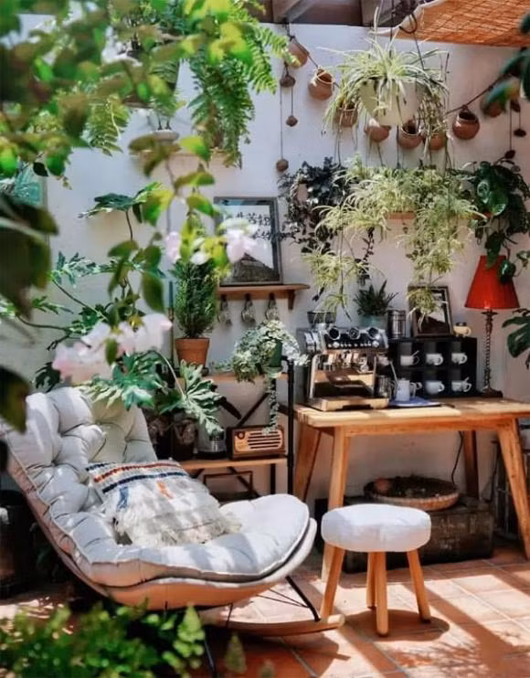 Trong nhieu hoa o 3 noi nay trong nha cang toi te-Hinh-9