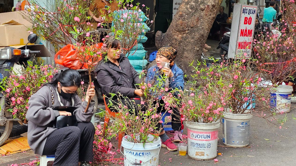 “Tôi bán đào ở đây hơn 10 năm nay, nhưng chưa thấy năm nào ế ẩm như năm nay. Ai cũng chỉ đi qua chụp ảnh, ngắm hoa chứ chẳng mấy ai mua” - một tiểu thương bán đào tại chợ hoa Hàng Lược chia sẻ.