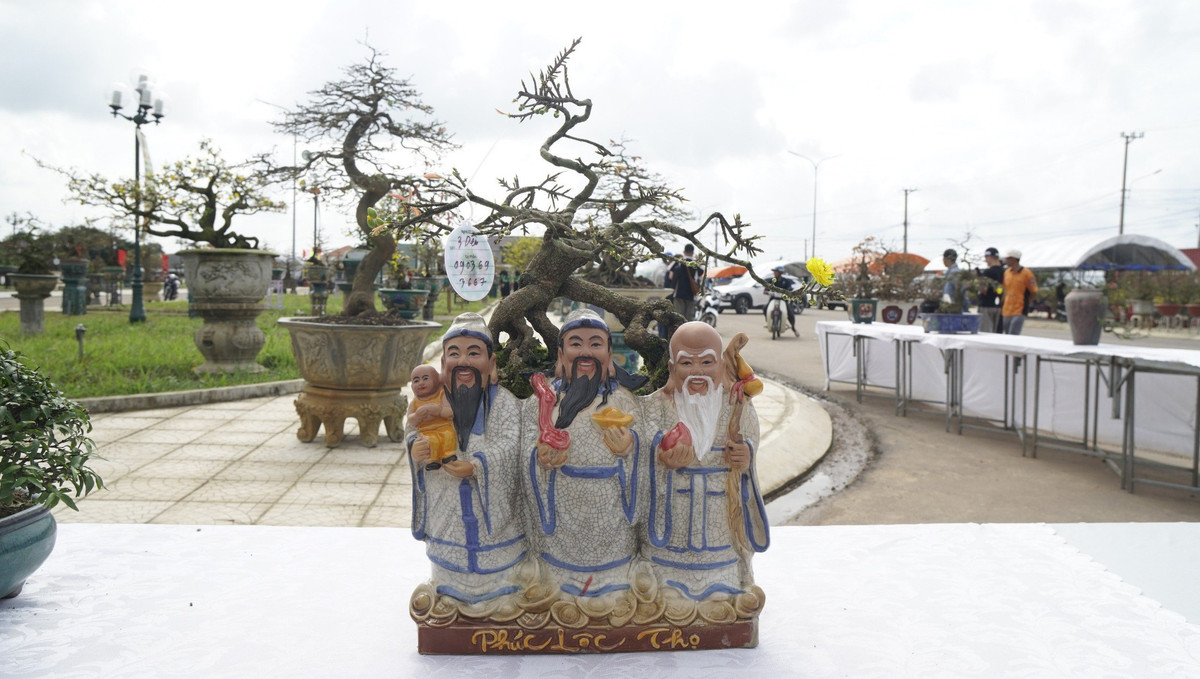 “Doc, la” goc mai vang bonsai don Tet “nhin la thich-Hinh-19