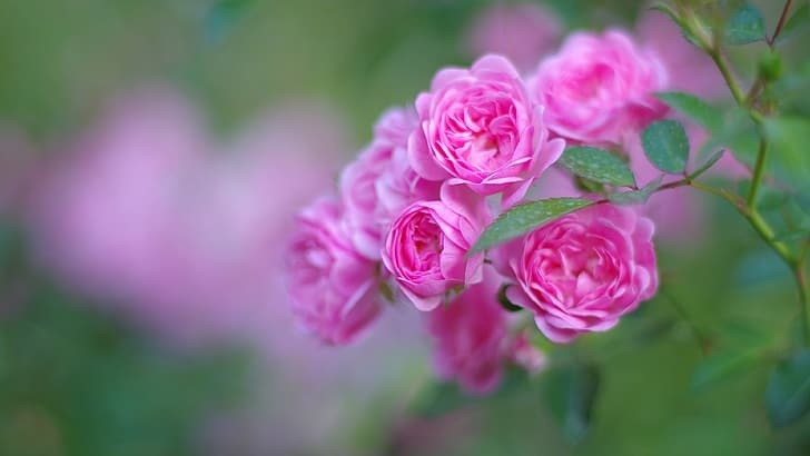 Thang 4 den mang niem vui, 3 con giap duoc quy nhan giup do