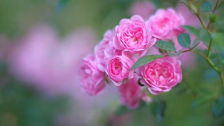 Thang 4 den mang niem vui, 3 con giap duoc quy nhan giup do