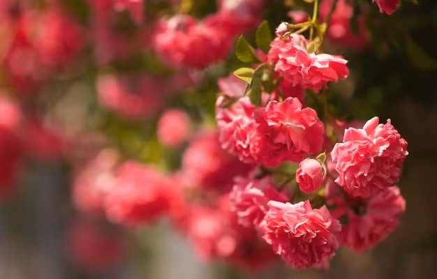 Thang 4 den mang niem vui, 3 con giap duoc quy nhan giup do-Hinh-2