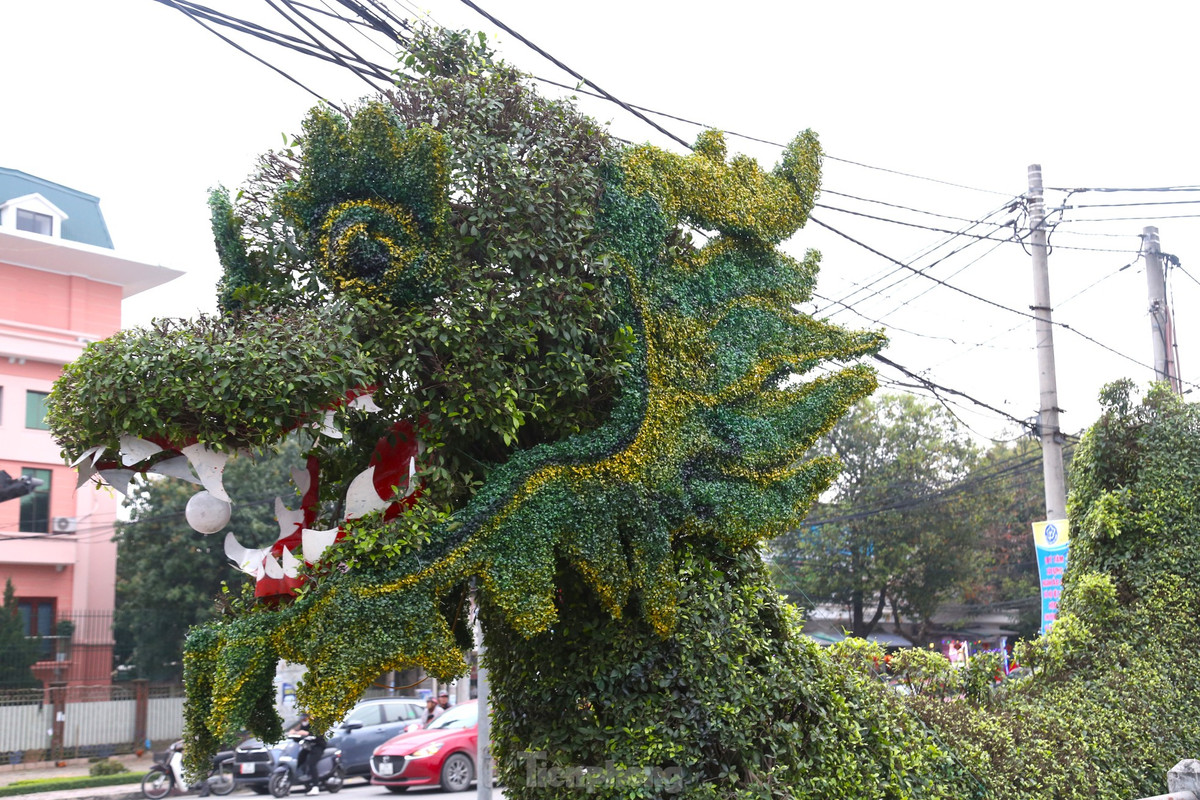 Trước đó, hình ảnh hai con rồng bằng cây xanh đặt tại cửa ngõ vào trung tâm TP Vinh đăng tải trên mạng xã hội đã nhận được nhiều ý kiến trái chiều. Người khen rồng được tạo dáng cầu kỳ từ các cây xanh. Có người lại cho rằng, hàng cây không giống rồng. Thậm chí, một số người còn ví hai cây cảnh hình rồng này trông giống con lươn... Trong ảnh là hình ảnh con rồng trước và sau khi được chỉnh sửa.