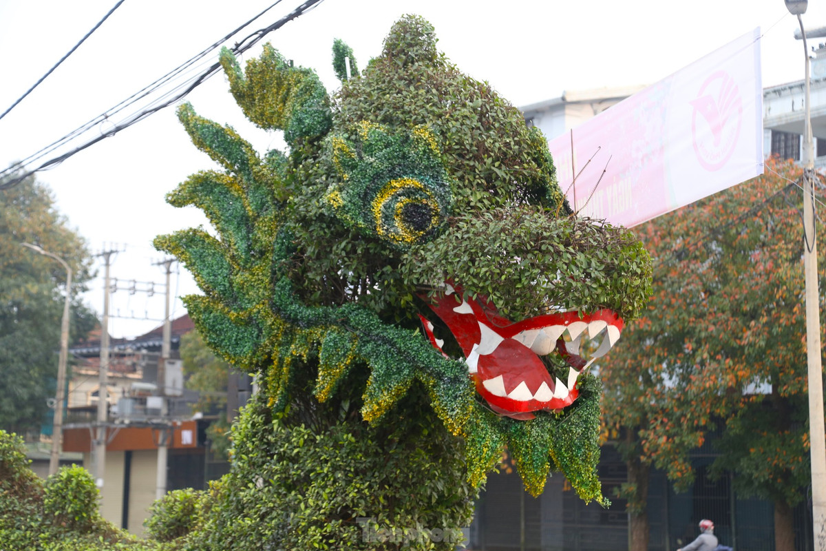 Đầu rồng trước và sau khi được "phẫu thuật thẩm mỹ"