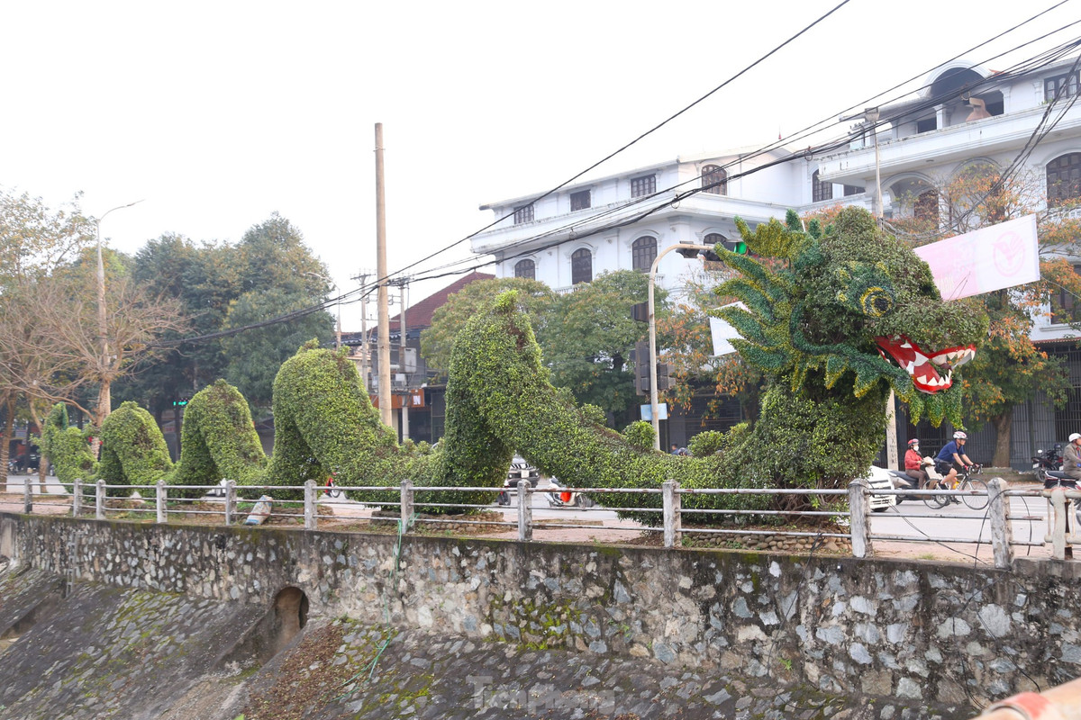 Ngày 6/2 (27 tháng Chạp), nhiều người qua lại ngã tư đại lộ Lê Nin - đường Nguyễn Sỹ Sách, TP Vinh, Nghệ An tỏ ra thích thú khi thấy hai cây cảnh hình rồng tại đây đã có diện mạo mới.