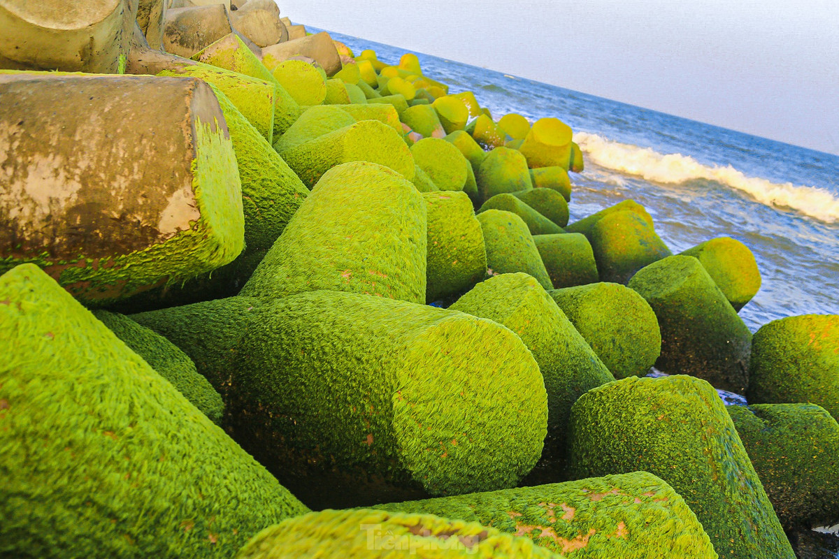 Gioi tre do xo check-in bai reu xanh cuc chill o Quang Ngai