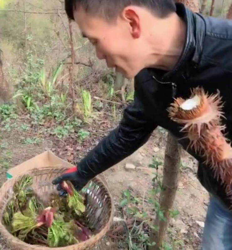 Rau dai Viet quy nhu vang o xu nguoi, phai lieu moi hai duoc-Hinh-3