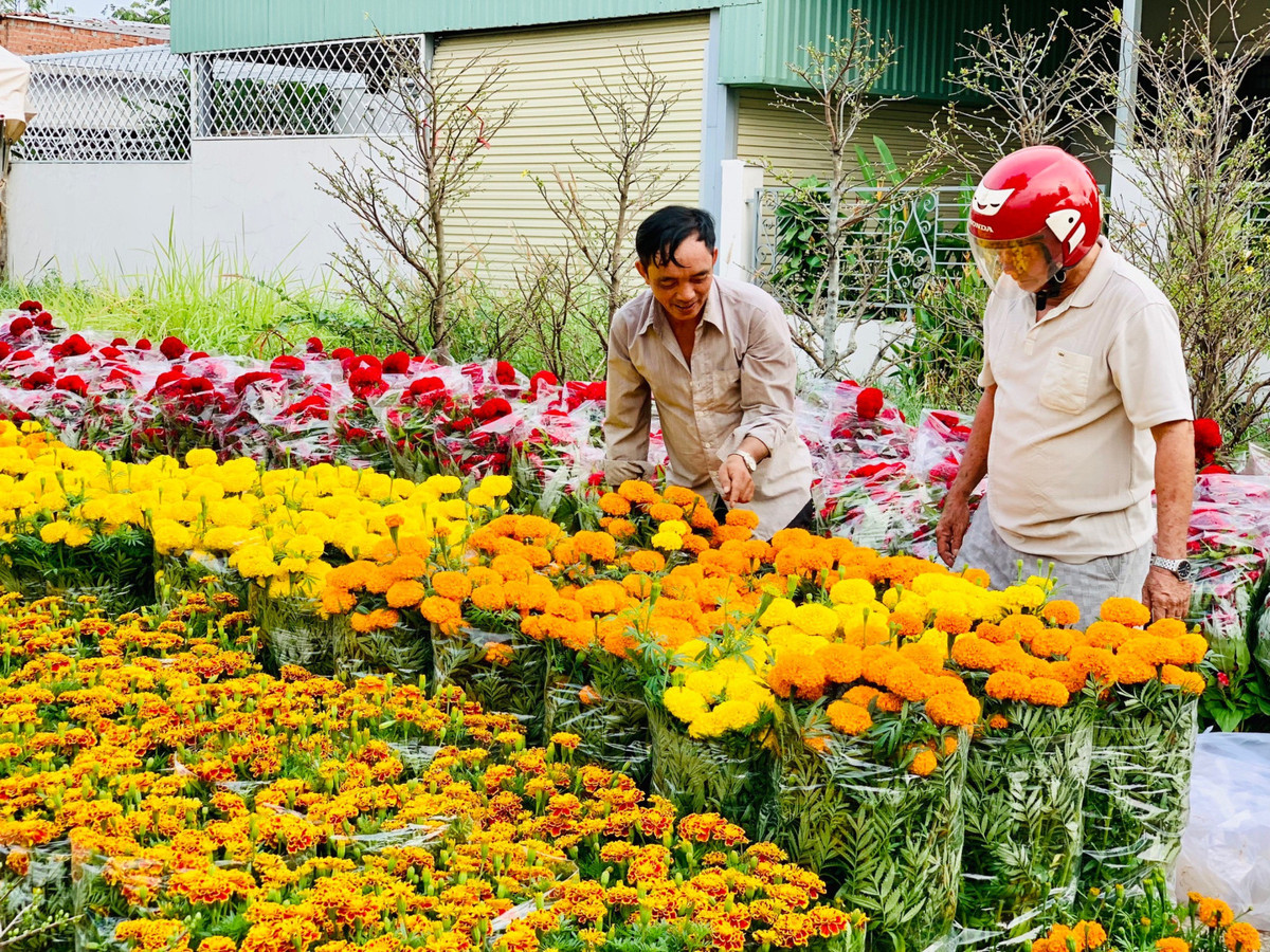 Cho tet Binh Duong, dan tinh chup hinh chau quat hinh rong YAHOO 25-Hinh-7