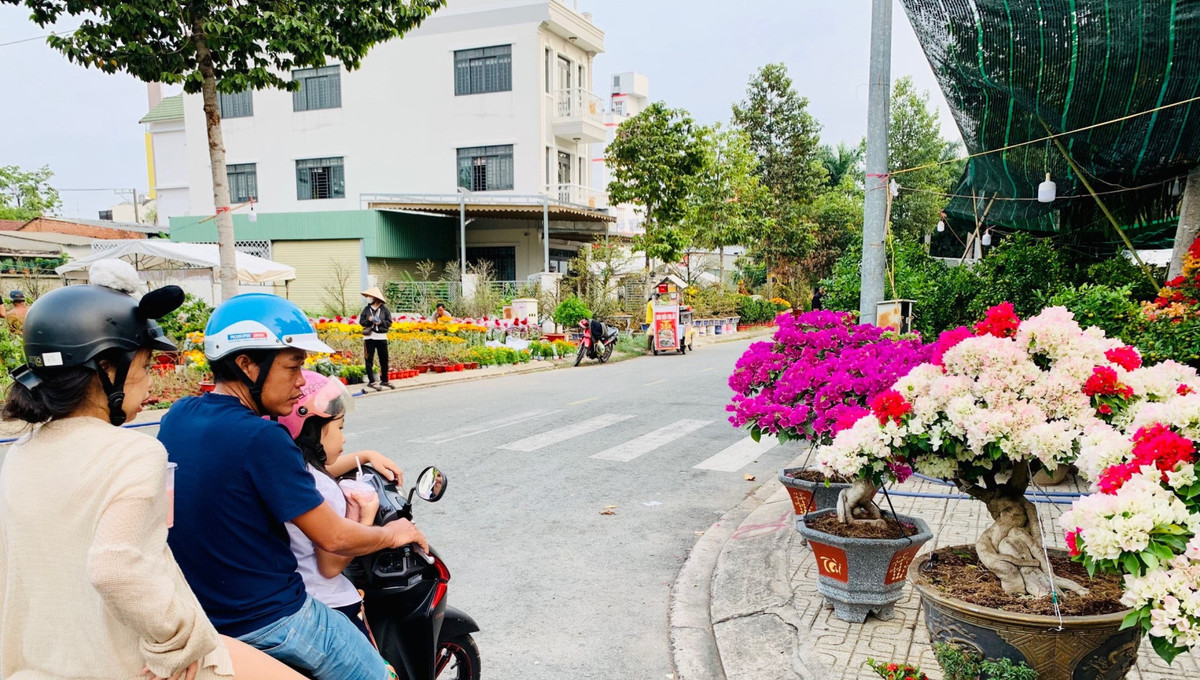 Cho tet Binh Duong, dan tinh chup hinh chau quat hinh rong YAHOO 25-Hinh-6