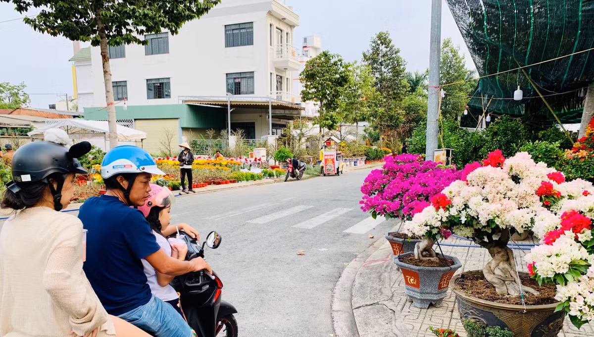 Chợ tết Bình Dương, dân tình chụp hình chậu quất hình rồng YAHOO 25 - Hình 6 Cho tet Binh Duong, dan tinh chup hinh chau quat hinh rong YAHOO 25-Hinh-6