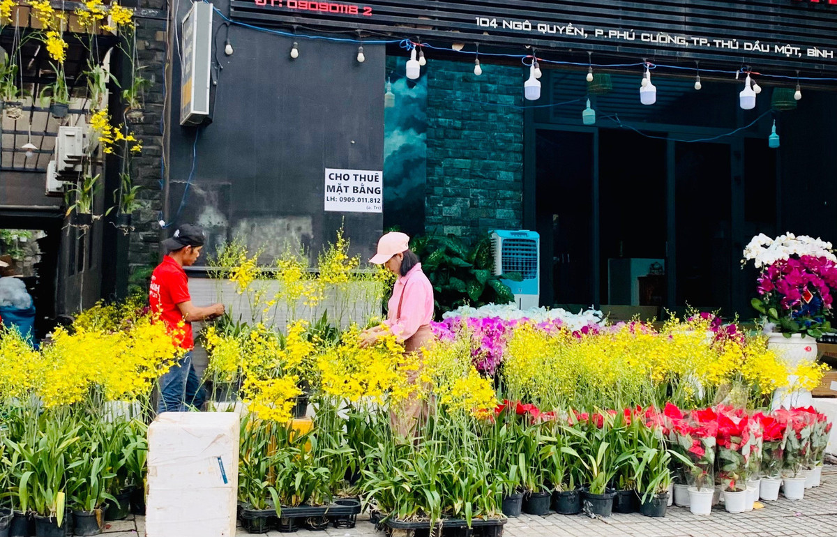 Cho tet Binh Duong, dan tinh chup hinh chau quat hinh rong YAHOO 25-Hinh-5