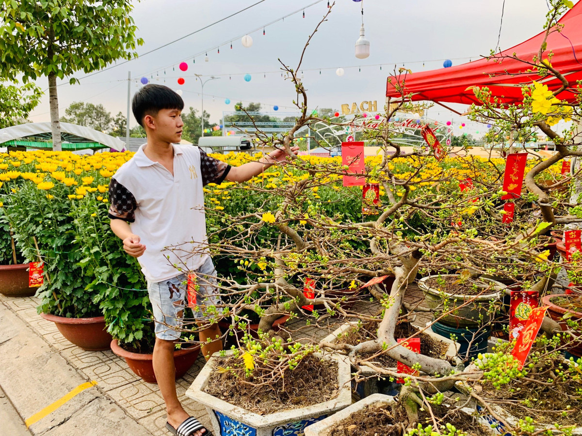 Cho tet Binh Duong, dan tinh chup hinh chau quat hinh rong YAHOO 25-Hinh-10