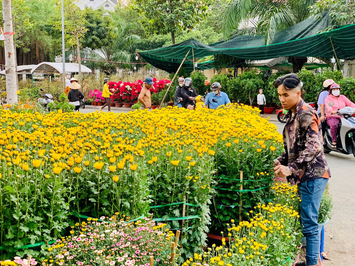 Cho tet Binh Duong, dan tinh chup hinh chau quat hinh rong YAHOO 25-Hinh-3