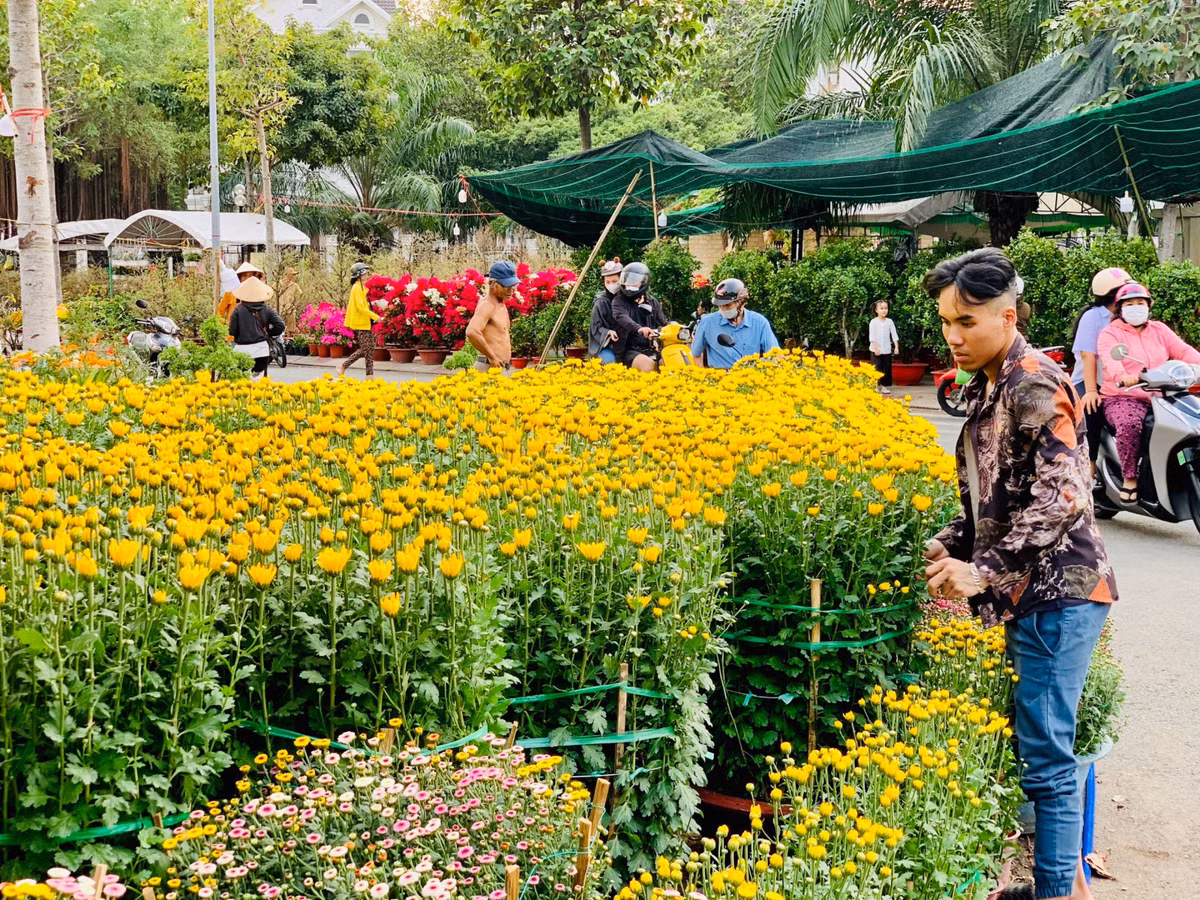 Chợ tết Bình Dương, dân tình chụp hình chậu quất hình rồng YAHOO 25 - Hình 3 Cho tet Binh Duong, dan tinh chup hinh chau quat hinh rong YAHOO 25-Hinh-3