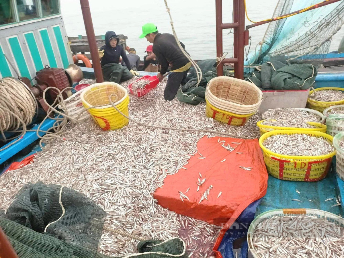 Dan mot lang bien trung luong ca com, “bat“duoc 150 trieu/dem