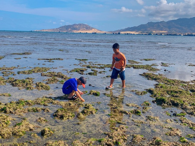 Thú vui của những đứa trẻ tại làng biển này là trốn mẹ đi mò cua, bắt ốc.