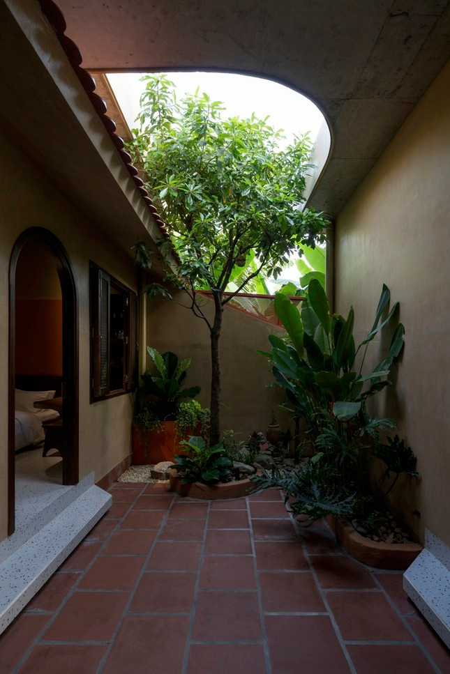 Cach thiet ke nha vuon dan xen day an tuong-Hinh-11