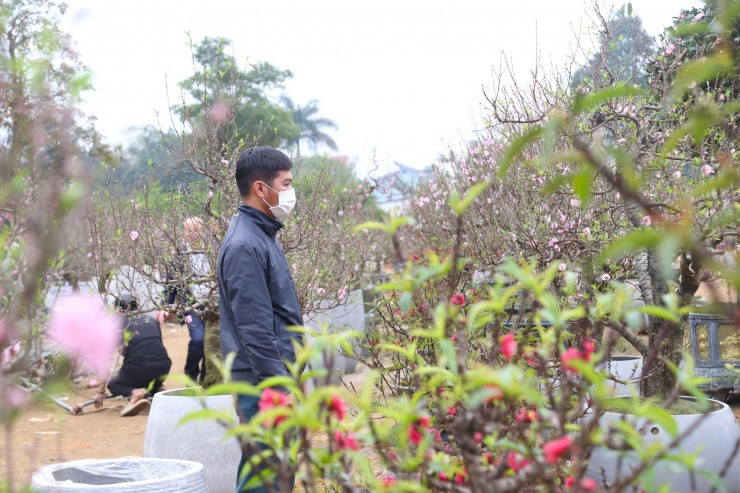 Nhieu nguoi san lung dao tien Vua rat dat do choi Tet-Hinh-5