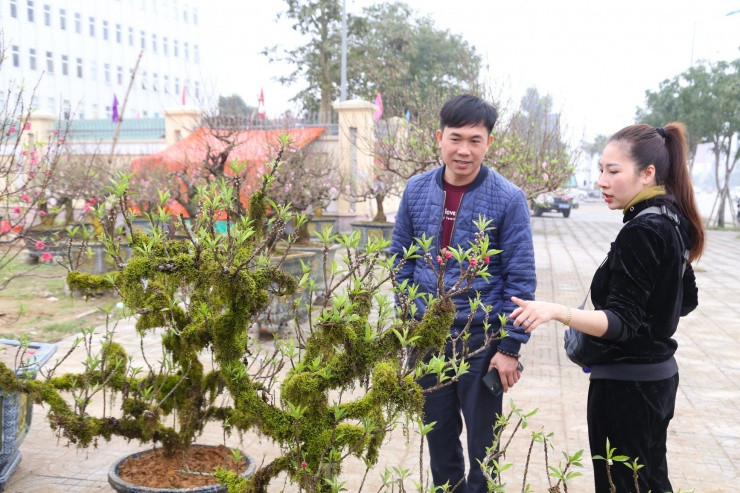 Nhieu nguoi san lung dao tien Vua rat dat do choi Tet-Hinh-13