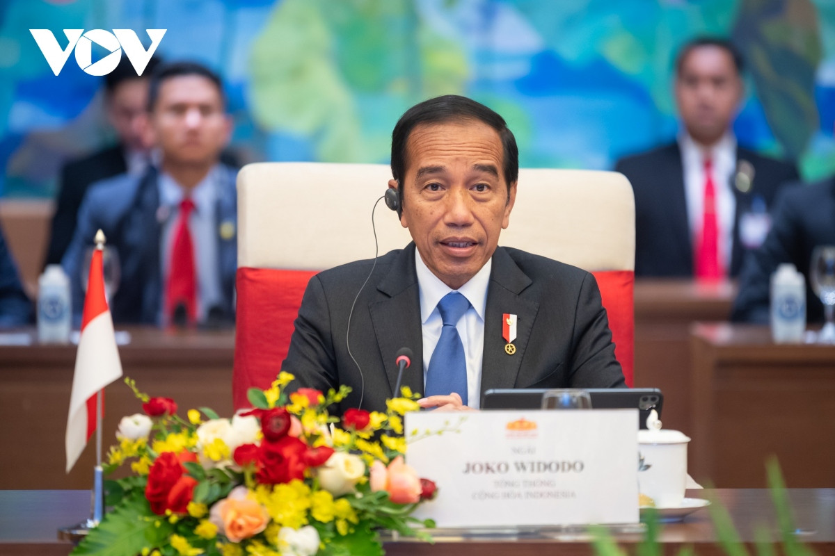 Chủ tịch Quốc hội Vương Đình Huệ hội kiến Tổng thống Indonesia - Hình 4 Chu tich Quoc hoi Vuong Dinh Hue hoi kien Tong thong Indonesia-Hinh-4