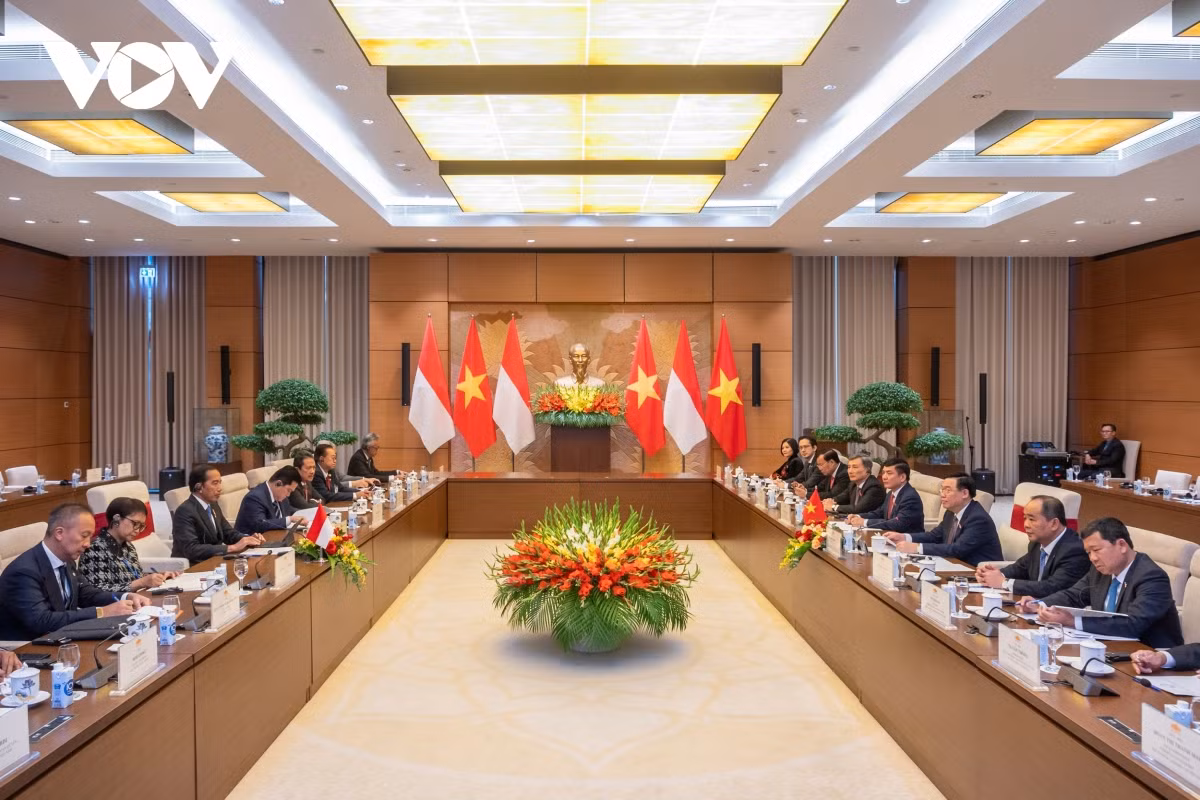 Chu tich Quoc hoi Vuong Dinh Hue hoi kien Tong thong Indonesia-Hinh-2