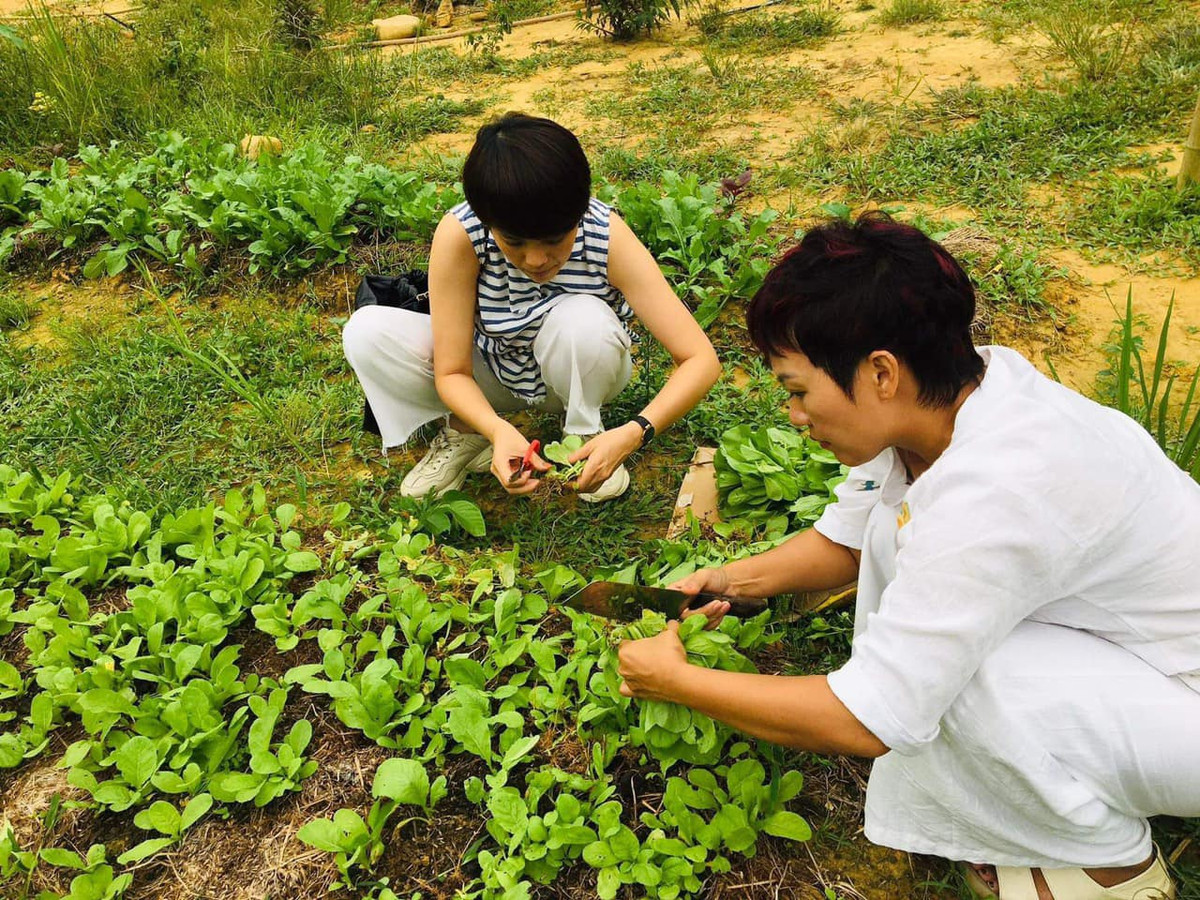 Khi nghệ sĩ “bắt trend” bỏ phố về quê… làm nông dân - Hình 6 Khi nghe si “bat trend” bo pho ve que… lam nong dan-Hinh-6