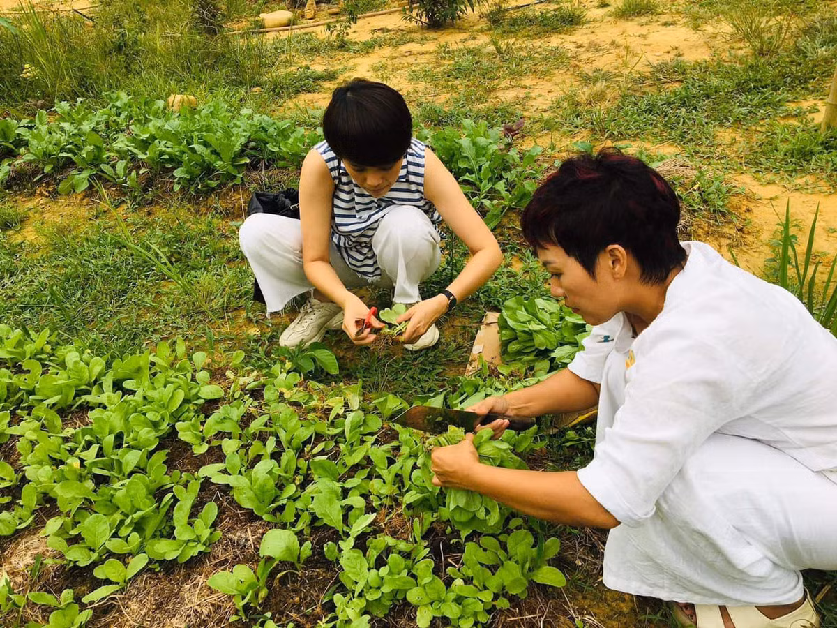 Khi nghe si “bat trend” bo pho ve que… lam nong dan-Hinh-6