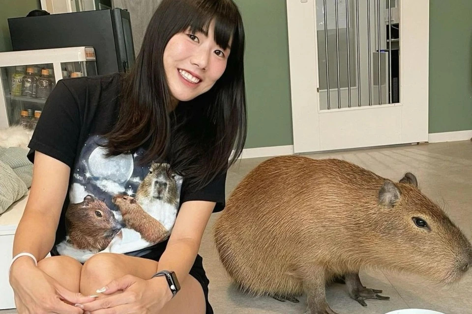 Quan ca phe o Nhat Ban noi tieng nho 'nhan vien' chuot lang nuoc