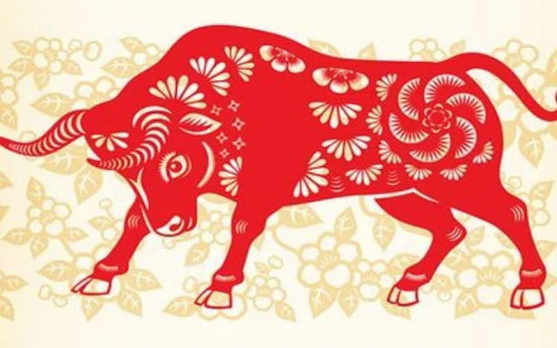 Trong tháng này, những quý nhân của con giáp tuổi Sửu cũng sẽ xuất hiện bên cạnh để đưa ra những sự trợ giúp kịp thời, giúp họ có thêm nguồn lực và sự tự tin để vượt qua khó khăn.