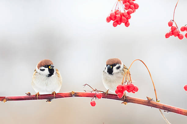 Vào tháng 1/2024, 4 con giáp này may mắn gặp được quý nhân, giúp họ chuyển vận rủi thành may mắn, đạt được những tiến bộ lớn trong sự nghiệp, tiền tài không lo. Trong cuộc đời mỗi người sẽ có một vài quý nhân, họ có thể không phải là họ hàng nhưng sự xuất hiện của họ có thể mang lại may mắn và giúp ích cho chúng ta. Hãy xem những con giáp nào có duyên gặp được quý nhân trong tháng 1 này nhé!