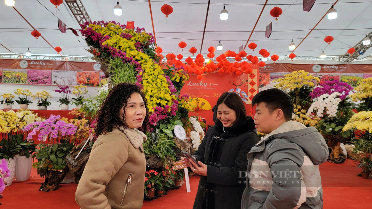 Hon 1.000 chau lan ket hinh ban do Viet Nam tren go lua-Hinh-7