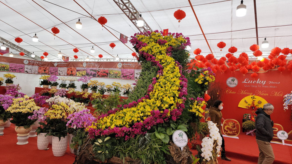 Hon 1.000 chau lan ket hinh ban do Viet Nam tren go lua-Hinh-2