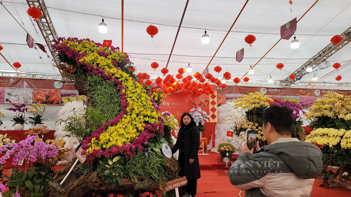 Hon 1.000 chau lan ket hinh ban do Viet Nam tren go lua-Hinh-6