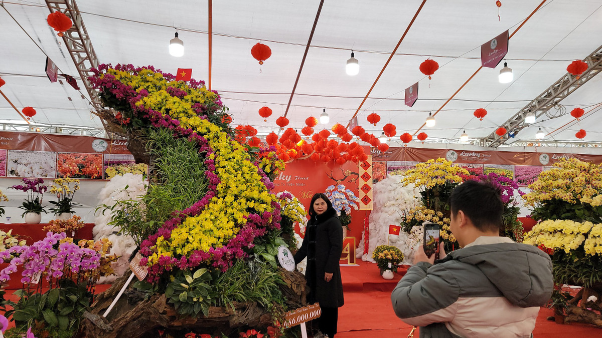 Hon 1.000 chau lan ket hinh ban do Viet Nam tren go lua