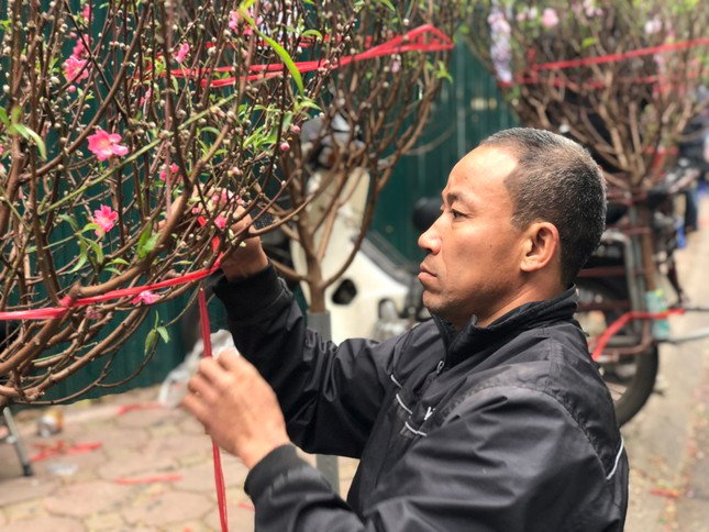 Những cành dáng đẹp cũng chỉ từ 400.000 - 700.000 đồng. Tiểu thương chấp nhận khách trả giá.